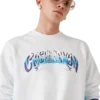 Blå Fade-sweatshirt
