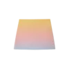 Ping Pong Gradient Silk Nederdele