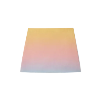 Ping Pong Gradient Silk Nederdele