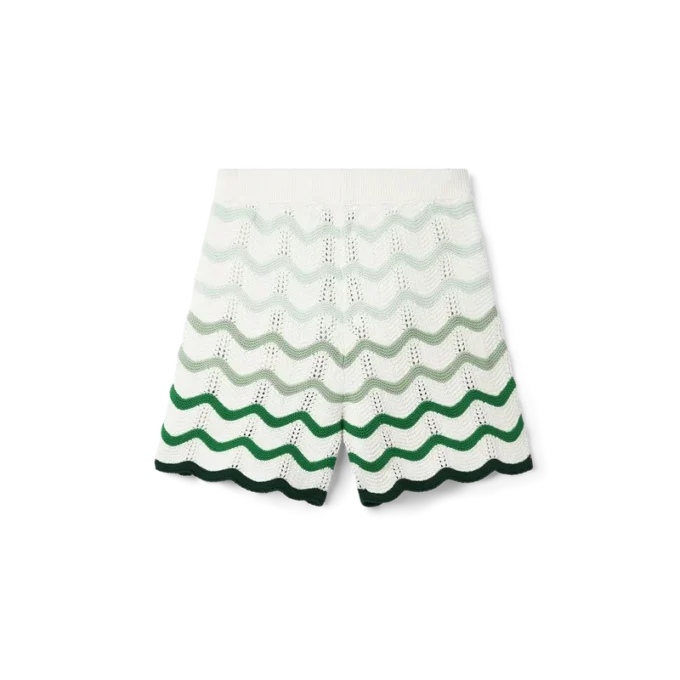 Wavy Gradient Crochet Shorts Wavy Gradient Crochet Shorts